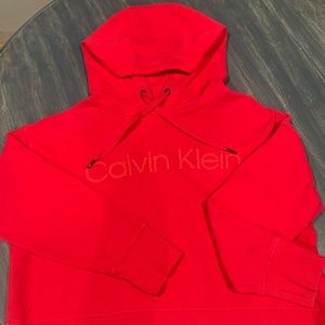 Calvin Klein Hoodie ( cropped )